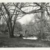 Ruins of bridge (White Oak Swamp).