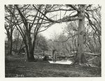 Ruins of bridge (White Oak Swamp).
