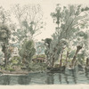 Les saules des Mottiaux.