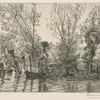 Les saules des Mottiaux.