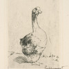 [Le jars.]