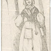 Biddy Brooks, Esq., of the Daily express, reporter for the Female moral reform society.