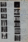 Figure of a bird in nest, by Wajan Ajun ; Figure of sea-horses, by Wajan Tamo ; Drawings by Ida Bagus Kembeng et al. from Coll. R. Bonnet