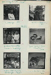 Portraits of Suwardja, Kartono, Adiwinata, Basar, Sukarno Hadian. Bandung, March 3, 1956 ; Jane, Jerry and Jane Towner ; Tree on Lembang Rd.