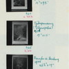 Paintings by Adiwinata. Bandung, August 3, 1956