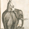 Elephas; Elephant.