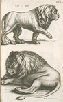 Leo, Löw.