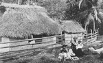 A peasant's home.