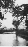 The Caroni.