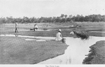 The Pitch lake.