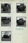 Palembang Museum, Sept. 28, 1956