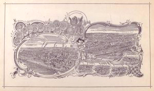 mordant dyestuffs of the farbenfabriken vorm. Friedr. Bayer & Co., Elberfeld, and their application to printing and dyeing.