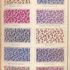 Cotton printing. Alizarine red and aniline black ground, slop padded with benzidine colours.