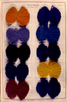 Wool dyeing (woollen yarn).