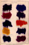 Wool dyeing (chrome mordant colors dyed on loose wool)