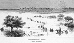 Oversvommelse i Sudan.