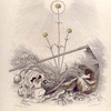 Immortelle. [Everlasting]