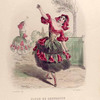 Fleur de Grenadier. [Pomegranate]