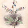 Les fleurs animées. [Illustrated frontis piece, pt. 2]