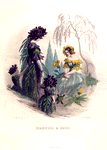 Scabieuse & Souci. [Mourning bride and Marigold]