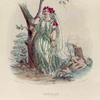 Verveine. [Verbena ; Vervain]