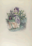 Lilas. [Lilac]