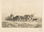 Attelage de boeufs (Haut-Dauphiné) [d'après Dubuisson].
