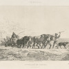 Attelage de boeufs (Haut-Dauphiné) [d'après Dubuisson].