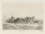 Attelage de boeufs (Haut-Dauphiné) [d'après Dubuisson].