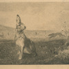 Le lièvre, d'après A. de Balleroy.