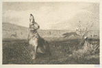 Le lièvre, d'après A. de Balleroy.