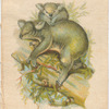 Koala (Native Bear).
