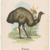 Emu.