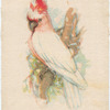 Pink Cockatoo.