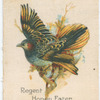 Regent Honey Eater.