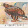 The Golden Eagle.
