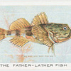 The Father-Lather Fish.