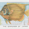 The Emperor of Japan.