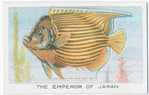 The Emperor of Japan.