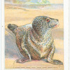 The Common Seal.