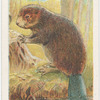 The beaver.