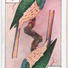 Birds of brilliant plummage.