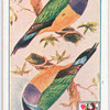 Birds of brilliant plummage.