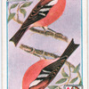 Birds of brilliant plummage.