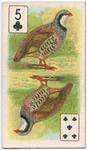 Birds of brilliant plumage.