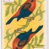 Birds of brilliant plumage.