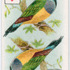 Birds of brilliant plummage.