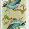 Birds of brilliant plummage.