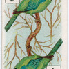 Birds of brilliant plummage.