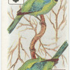 Birds of Brilliant Plummage.